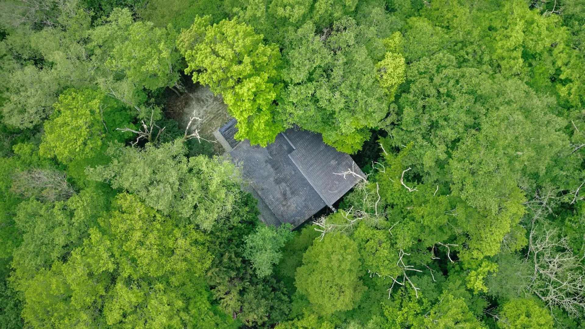 高台の森に佇むモダニズム建築 露天風呂 サウナ 檜風呂 Enn Hakone别墅 别墅 箱根