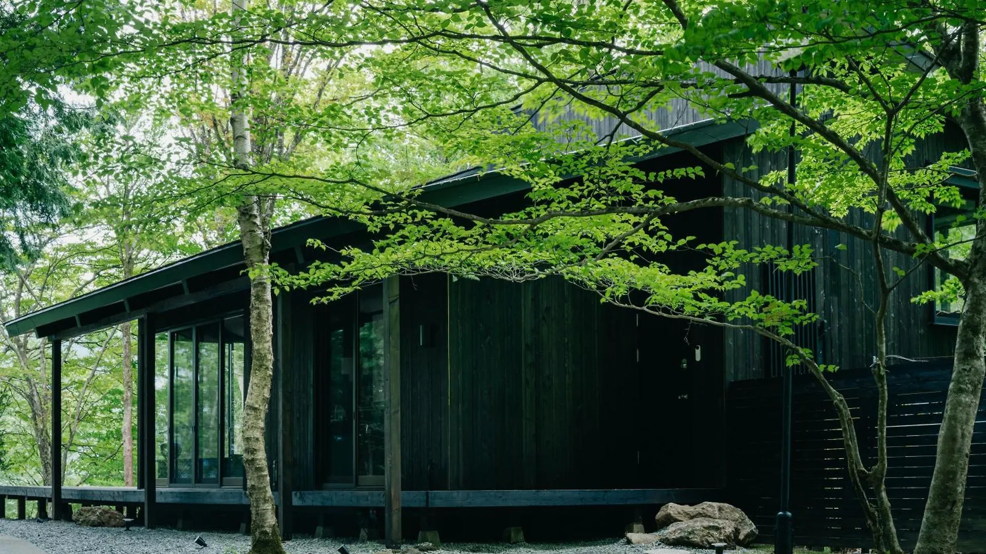 高台の森に佇むモダニズム建築 露天風呂 サウナ 檜風呂 Enn Hakone Villa 0*,  Japonya